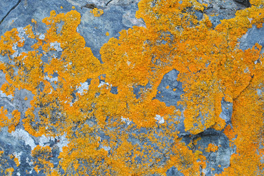 Similar image 699138