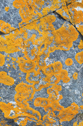 Similar image 699139