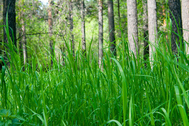 Similar image 699140