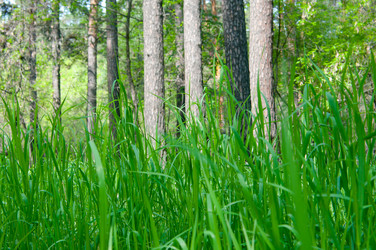 Similar image 699141