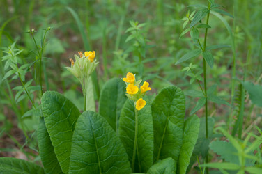 Similar image 699142