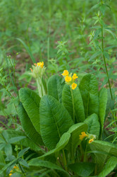 Similar image 699143