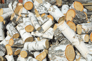 Similar image 699144