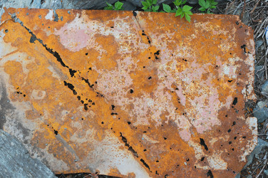 Similar image 699148