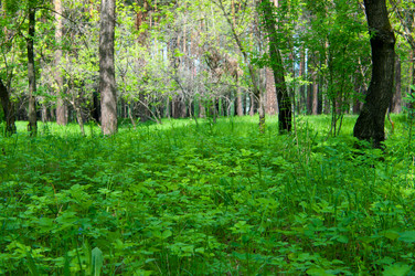 Similar image 699154