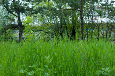 Similar image 699155