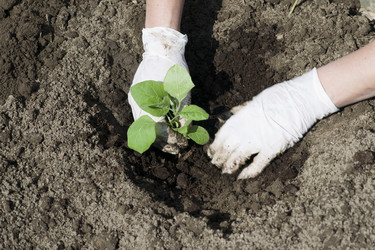 Similar image 699165