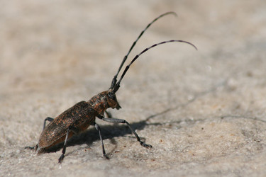 Similar image 699179