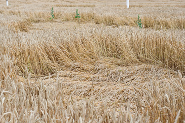 Similar image 699267