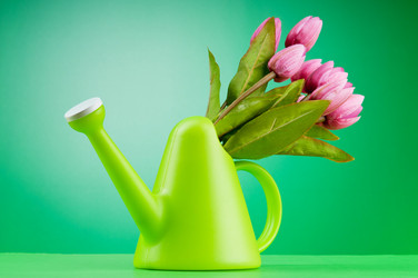 Similar image 699425