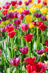 Similar image 699455