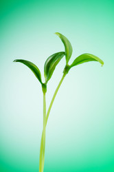 Similar image 699459