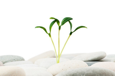 Similar image 699487