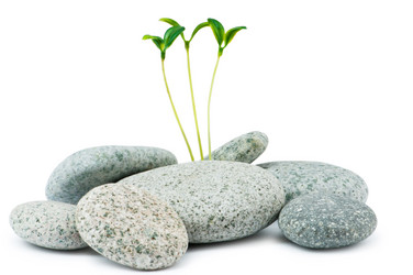 Similar image 699489