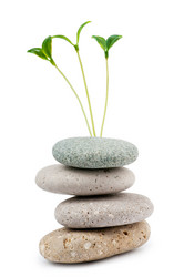 Similar image 699491