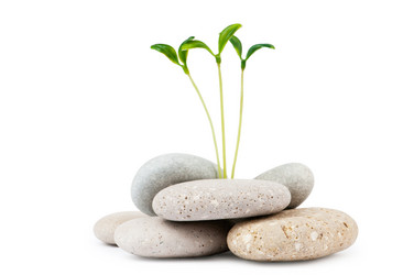 Similar image 699496