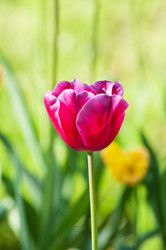 Similar image 699499