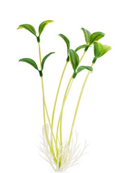 Similar image 699515