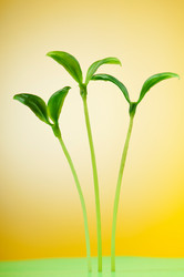 Similar image 699521