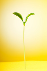 Similar image 699543