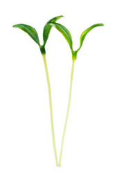 Similar image 699544