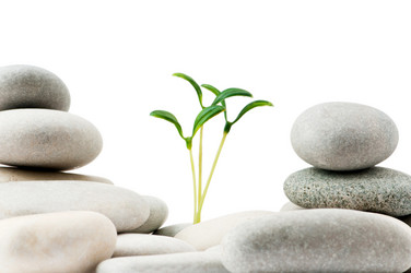 Similar image 699546