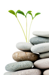 Similar image 699549