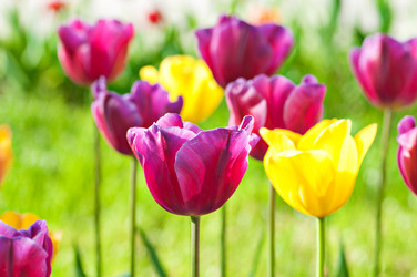 Similar image 699566