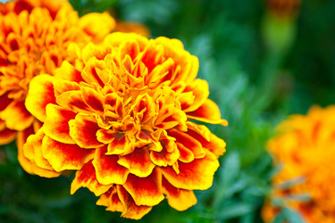 Similar image 699585