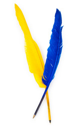 Similar image 699677