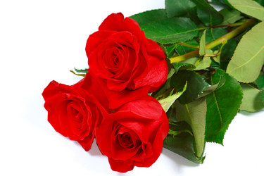 Similar image 699688