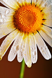 Similar image 699697