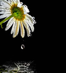 Similar image 699700