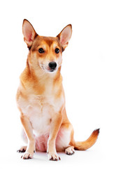 Similar image 699708