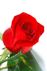 Similar image 699714