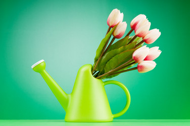 Similar image 699715