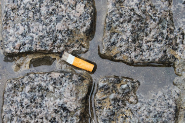 Similar image 699729