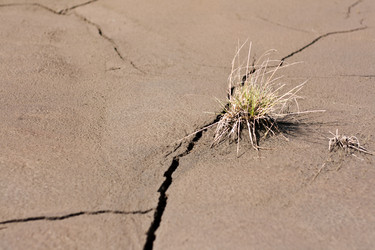 Similar image 699778