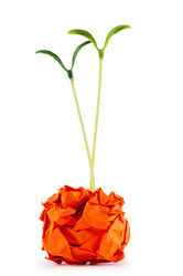 Similar image 699832