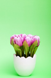 Similar image 699927