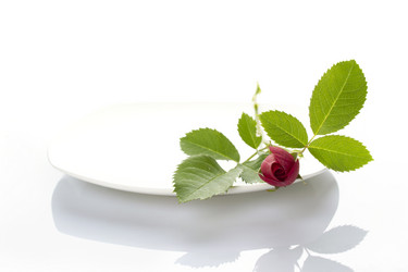 Similar image 699955