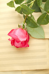 Similar image 699956