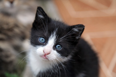 Similar image 699957