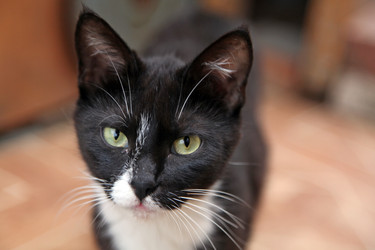 Similar image 699958