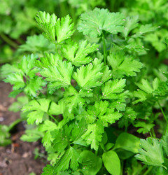 Similar image 699989