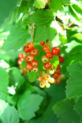 Similar image 700009