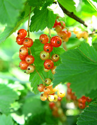 Similar image 700010