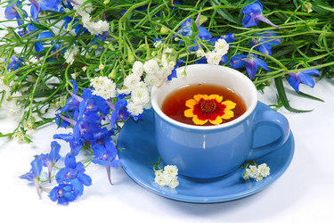 Similar image 700050