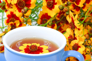 Similar image 700055