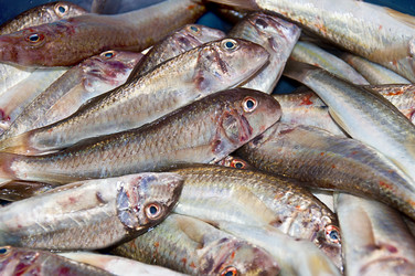 Similar image 700138